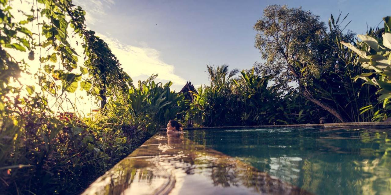 Dragonfly Village Ubud Eksteriør billede