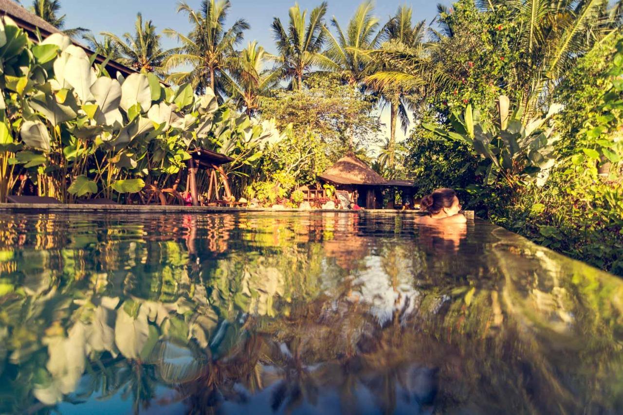 Dragonfly Village Ubud Eksteriør billede