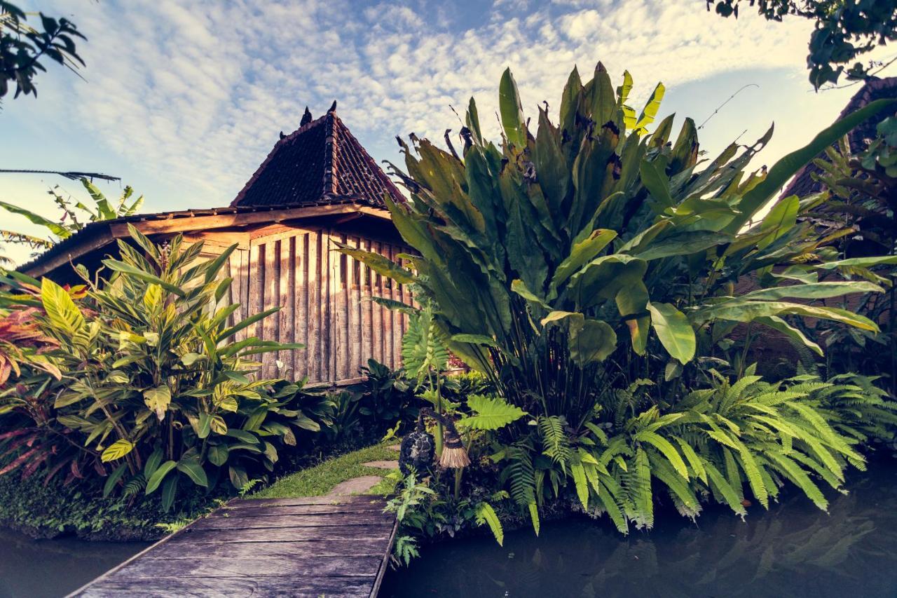 Dragonfly Village Ubud Eksteriør billede