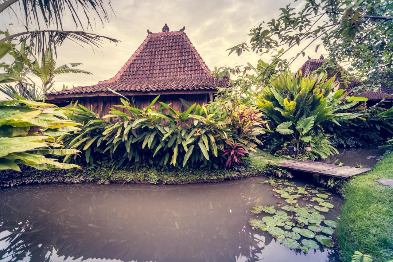 Dragonfly Village Ubud Eksteriør billede