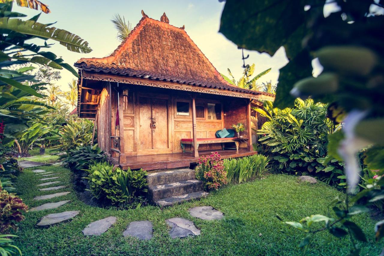Dragonfly Village Ubud Eksteriør billede