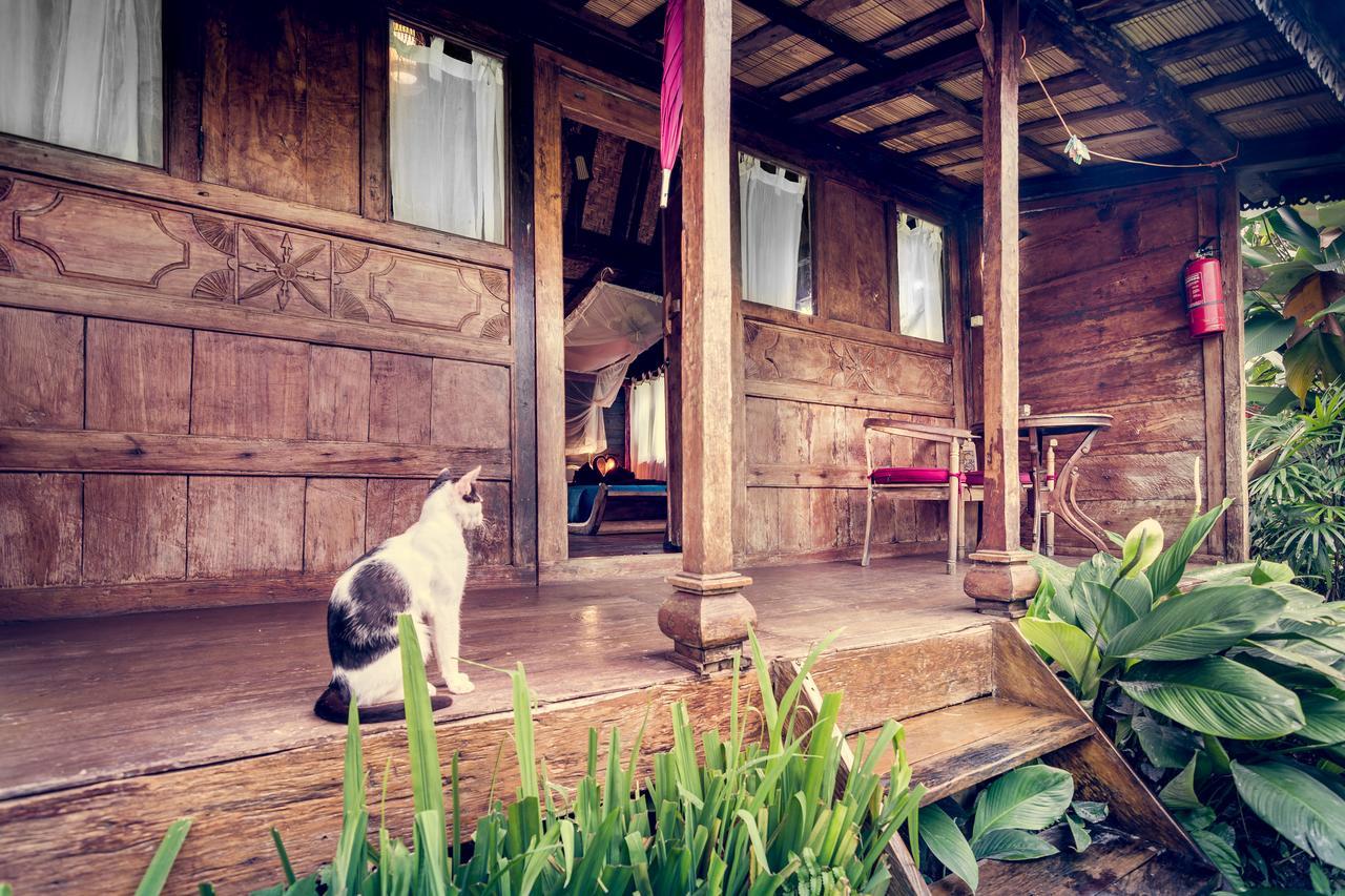Dragonfly Village Ubud Eksteriør billede